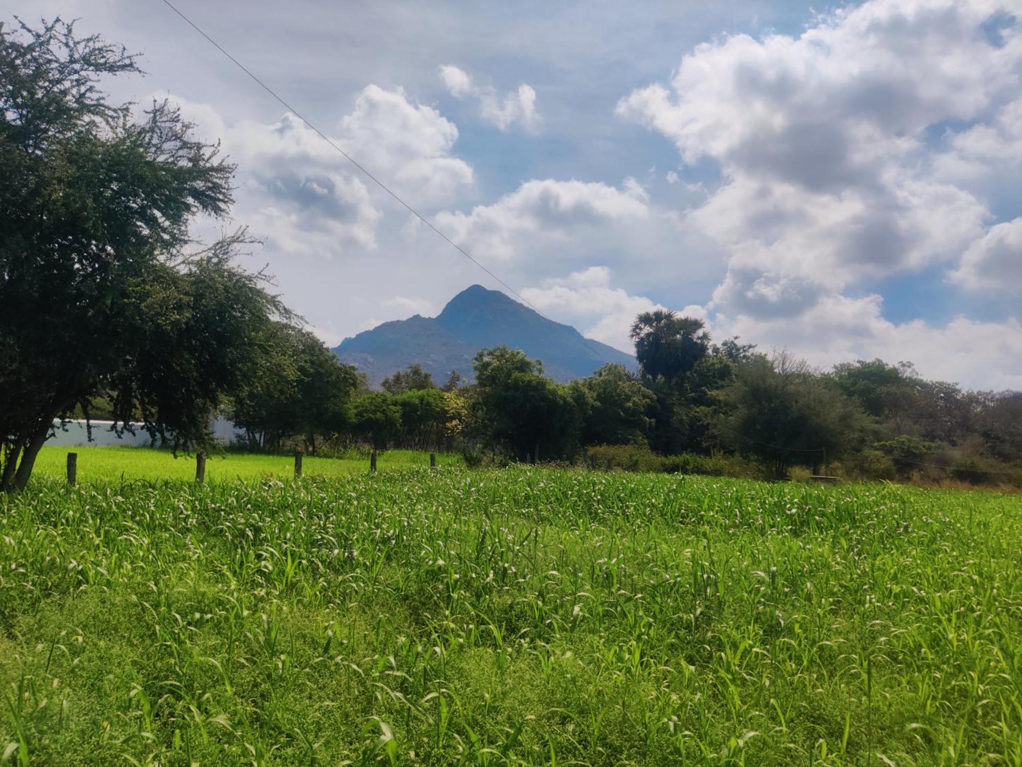 Arunachala Houses Tiruvannāmalai Екстериор снимка